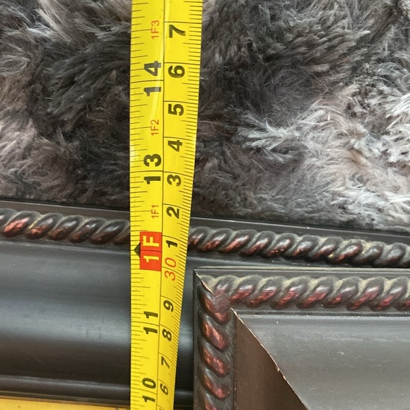 2 Miss Meka Cat Picture Paul Stagg The Bombay Company Stephanie Hoppen - Picture 11 of 16